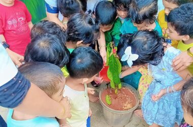 Environmental day