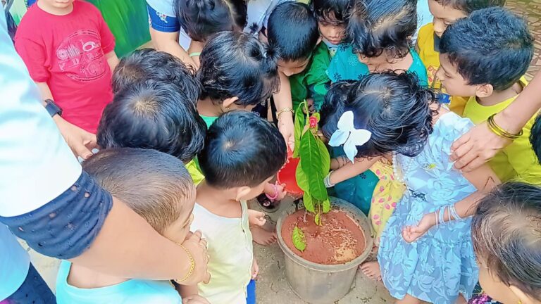 Environmental day